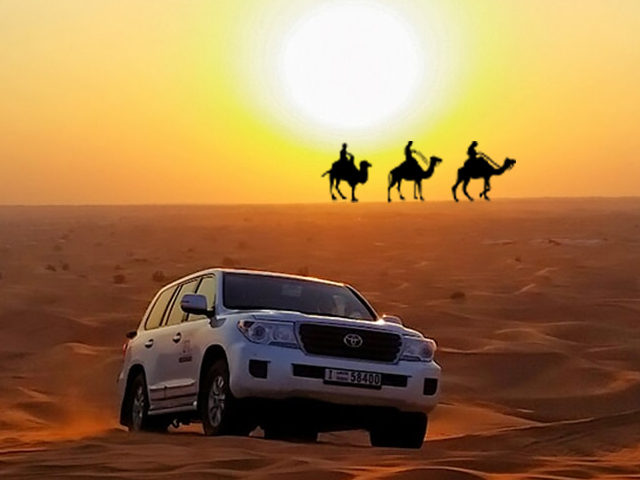 Evening Enjoy at Dubai Desert
