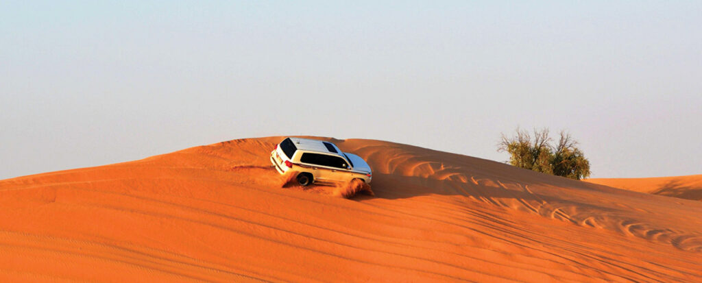 Private Desert Safari Dubai