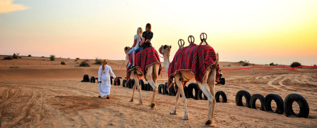 Peaceful Camel Rides