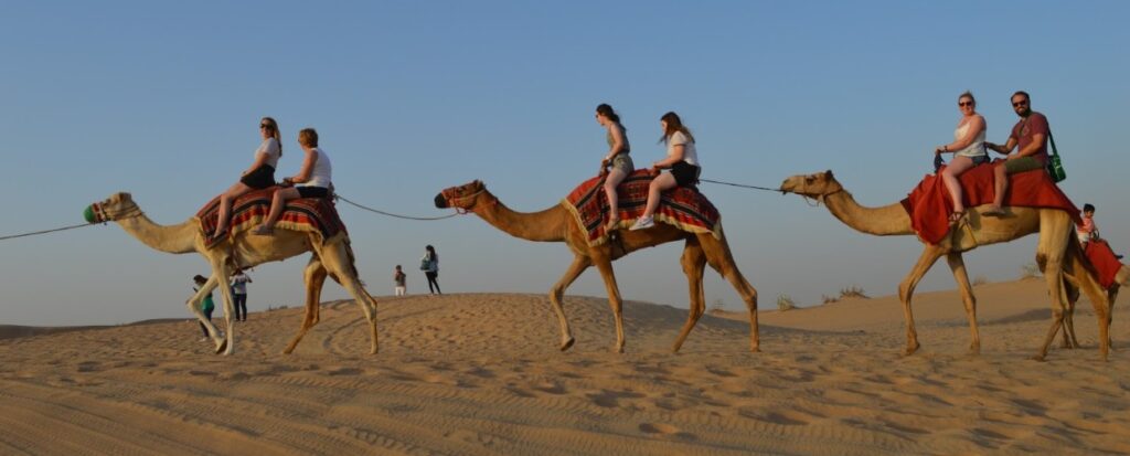 Camel Rides