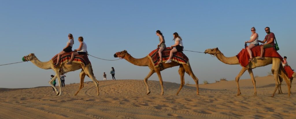 Other Fun Activities in Desert Safari